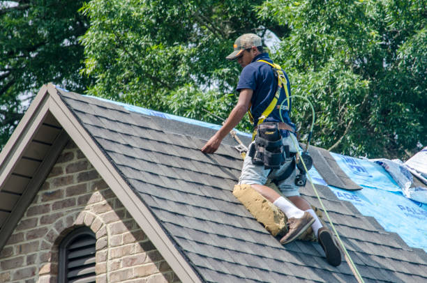 Best Roof Gutter Cleaning  in Stamford, CT